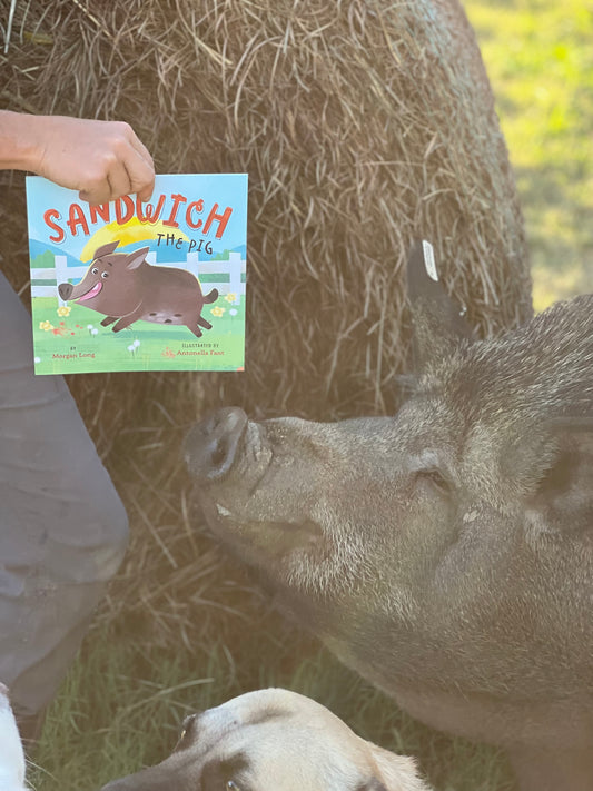 Sandwich the Pig